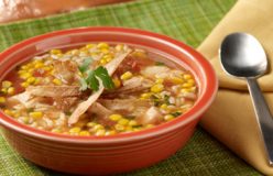 Hearty Chicken Tortilla Soup Recipe photo